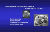Cestóides de importância médica, endêmicos no Brasillineu.icb.usp.br/~gwunder/8Cestoides.pdf · Nemathelminthes (Echinococcus) (Hymenolepis) Metazoa •Cestoda: “kestos” ou