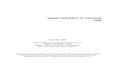 spinal cord injury in wisconsin 1998 · PDF fileLevel and Severity of Injury 27 Discharge Location 28 ... (spinal cord injury ... introduction to spinal cord injury The spinal cord