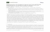 Suppression of Oxidative Stress and NFB/MAPK Signaling … · 2017-08-30 · Signaling by Lyophilized Black Raspberries for ... -induced esophageal squamous cell ... Suppression of