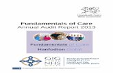 Fundamentals of Care - CVUHB 8b... · 4.1 Fundamentals of Care Standards – Review of ... The survey provides evidence that nursing staff across the ... that the questions are specifically
