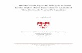 Multilevel and Algebraic Multigrid Methods for the Higher ...digitool.library.mcgill.ca/thesisfile121485.pdf · Multilevel and Algebraic Multigrid Methods ... Armin Salimi and Rodrigo