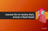 Essential Oils for Healthy Heart, Artery Wall & Blood Vessels · •For health professionals who have used pure, therapeutic-grade essential oils on patients, ... Essential Oils for