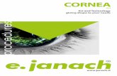 CORNEA - janach EDI.06B.pdf · EVOline DALK/BIG BUBBLE Deep Lamellar Keratoplasty Dissettore corneale per DALK, apice triangolare per apertura superiore DALK corneal dissector, triangle