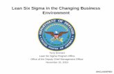 Lean Six Sigma in the Changing Business Environment · Lean Six Sigma in the Changing Business Environment Terry Emmert Lean Six Sigma Program Office ... RG-33 Base Cat II 731 RG-33