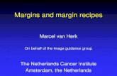 Margins and margin recipes - American Association of … · Margins and margin recipes Marcel van Herk On behalf of the image guidance group The Netherlands Cancer Institute Amsterdam,