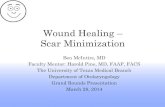Wound Healing â€“ Scar .Wound Healing â€“ Scar Minimization ... Optimization of wound healing â€¢