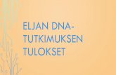 ELJAN DNA- TUTKIMUKSEN TULOKSETharkonen-niikko.com/documents/EljanDNA_tutkimustulokset.pdf · Current genetic data Indicates that indigenous people belonging to ... percent ot people