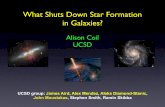 What Shuts Down Star Formation in Galaxies?cosmology.lbl.gov/talks/Coil_13.pdf · What Shuts Down Star Formation in Galaxies? Galaxies. Blue: star-forming, ... See quenching happening!