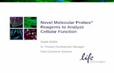 Novel Molecular Probes Reagents to Analyze Cellular Functionrhlccflow.facilities.northwestern.edu/files/2011/10/Northwestern... · Reagents to Analyze Cellular Function ... Hela (1