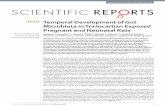 Temporal Development of Gut Microbiota in Triclocarban ... · Microbiota in Triclocarban Exposed Pregnant and Neonatal Rats Rebekah C. Kennedy1,2,*, Russell R. Fling3,*, ... Temporal