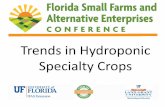 Trends in Hydroponic Specialty Crops - UF/IFAS OCI | Home. Aug... · Hydroponics Johnny’s Selected Seeds role in your success . Specialty Crops ...