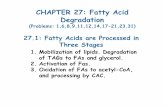 CHAPTER 27: Fatty Acid Degradationrcarlson/bcmb3100/Chap27.pdf · CHAPTER 27: Fatty Acid Degradation (Problems: 1,6,8,9,11,12,14,17-21,23,31) 1. Mobilization of lipids. Degradation