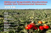 Midwest Vegetable Production Guide for Commercial Growers … · Midwest Vegetable Production Guide for Commercial Growers ... Midwest Vegetable Production Guide for Commercial Growers
