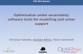 Optimisation under uncertainty: software tools for modelling …dinamico2.unibg.it/icsp2013/doc/ms/mitr Bergamo presentation.pdf · Optimisation under uncertainty: software tools