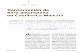 Conservación de flora amenazada en Castilla-La Mancha · 16 n.os 47-48 Especial Castilla-La Mancha Conservación de flora amenazada en Castilla-La Mancha A sí, en la Ley 4/1989