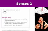 Examination of cutaneous sensitivity - FMED UK · Examination of cutaneous sensitivity 2. ... - allows for sensation of the body and movements of its parts ... –sensitivity to different