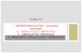 1. MICROCIRCULATIA- circulatia terminala 2. · PDF file1. MICROCIRCULATIA •STRUCTURAL •Arteriole, metaarteriole, capilare, venule •Arteriole- diametru 50 µm - straturi de fibre