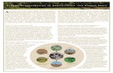 Soil Carbon - Soil Science Society of America · Soil carbon sequestration is a win-win ... Ibadan, Nigeria, conducting long-term experiments on land use, watershed management, methods
