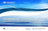 cmmon o oceans abnJ - Food and Agriculture Organization · Global sustainable fisheries manaGement and biodiversity conservation in areas beyond national Jurisdiction cmmon o oceans