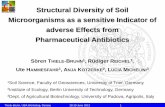 Structural Diversity of Soil Microorganisms as a sensitive ... · Structural Diversity of Soil Microorganisms as a sensitive Indicator of adverse Effects from Pharmaceutical Antibiotics
