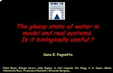 The glassystate of water in model and realsystems ...webusers.fis.uniroma3.it/liquidsgroup/seminari/Orleans04.pdf · model and realsystems. Isitbiologicallyuseful? ... Non -Arrhenius
