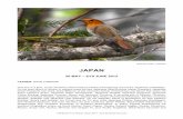 JAPAN REP 13 - Birdquest REP 13-ebook.pdf · Japanese Robin, Hokkaido JAPAN ... a truly wonderful island-hopping birding extravaganza around the Japanese archipelago. On the busy