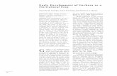 Early Development of Gerbera as a Floricultural Crophorttech.ashspublications.org/content/4/1/34.full.pdf · Early Development of Gerbera as a Floricultural Crop Kenneth R. Tourjee,