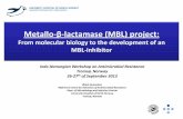Metallo-²-lactamase (MBL) project ?rjan Samuelsen MBL project India...  Metallo-²-lactamase (MBL)