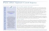 Pain after Spinal Cord Injury - msktc.org · Spinal Cord Injury Model System Consumer Information Transcutaneous electrical nerve stimu- lation (TENS) is sometimes used to treat musculoskeletal