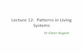 Lecture 12: Patterns in Living Systems - people.bss.phy ...people.bss.phy.cam.ac.uk/courses/biolectures/Lecture12_2017.pdf · THE CHEMICAL BASIS OF ... is adequate to account for