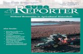 Wetland Restoration in Agricultural Watersheds · Photo on Cover: A restored wetland ... Wetland Restoration in Agricultural Watersheds ... Advocacy, the Minnesota North Star Chapter