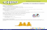 Jaundice in newborn babies - CHEO - Resources/Jaundice in newborn bab  Jaundice in newborn babies