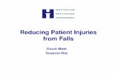 Reducing Patient Injuries from Falls - HealthInsighthealthinsight.org/Internal/assets/Nursing Home/FALLS-PR... · Reducing Patient Injuries from Falls Chuck Meek Suzanne Rita . Model