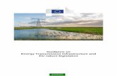 Guidance on Energy Transmission Infrastructure and EU ...ec.europa.eu/environment/nature/natura2000... · Guidance on Energy Transmission Infrastructure and EU nature ... 13 1.2.1.