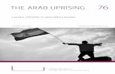 CAUSES, PROSPECTS AND IMPLICATIONS - ETH Z Arab Uprising_2011_76.pdf · CAUSES, PROSPECTS AND IMPLICATIONS • Thepopular uprisings in Egypt and Tunisia have been triggered by a combination
