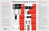 Molecular Imaging & Cancer - Results .Molecular Imaging & Cancer Radionuclide ... Molecular imaging