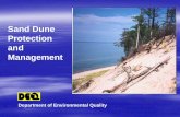 SAND DUNE PROTECTION IN MICHIGAN€¦ · Contains dunes at least 20 feet in height Presence of exemplary dune-associated ... The Dune Harbor Contested Case Decision recognized these