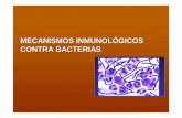 MECANISMOS INMUNOLÓGICOS CONTRA BACTERIAS · • Salmonella Impiden fusión lisosoma-bacteria Resisten enzimas lisosómicas Bacterias INTRACELULARES. MECANISMOS INMUNOLÓGICOS FRENTE