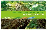 Building nature’s resilience: a biodiversity strategy for ... · Building Nature’s Resilience: A Draft Biodiversity Strategy for Queensland ... Some of our wilder places are experiencing