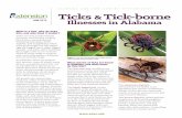 ALABAMA A&M AND AUBURN UNIVERSITIES Ticks Tick-borne - ACES.edu · ALABAMA A&M AND AUBURN UNIVERSITIES Ticks & Tick-borne Illnesses in Alabama What species of ticks are found in Alabama,