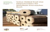 Value Added End-Use Opportunities for Namibian Encroacher Bush · Value Added End-Use Opportunities for Namibian Encroacher Bush ... Bonded Bricks and Boards 61 ... End-Use Opportunities