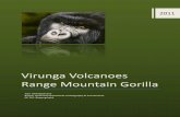 Virunga Volcanoes Range Mountain Gorilla - .Virunga Volcanoes Range ... decades civil conflicts in