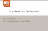 Crop Growth and Development - Hort Growth and...  Growth and Development â€¢Growth â€“the quantitative,
