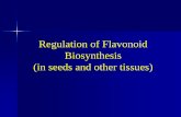 Regulation of Flavonoid Biosynthesis (in seeds and other ... · Flavonoids in seeds Flavonols: ... Field tests for pollination Hoballah et al., 2007 Diurnal butterflies Diurnal hymenopteran