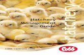 Hatchery Management Guide - Cobbcobbsa.co.za/wp-content/uploads/2017/05/hatchery-guide-2008.pdf · COBB Hatchery Management Guide ... This guide is designed to explain these principles