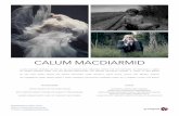 CALUM MACDIARMID - · PDF filecalum macdiarmid calum started working at mtv as an illustrator and directing idents for the network. he produced a series of award winning work for mtv