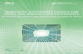 Mobilizing Sustainable Finance for Small and …unepinquiry.org/wp-content/uploads/2017/06/Mobilizing_Sustainable... · improve access by SMEs to green and sustainable finance as