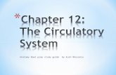 [PPT]Chapter 12: The Circulatory System - Florida …med.fsu.edu/userFiles/file/Chapter 12 Circulatory System... · Web viewCirculation overview: Pulmonary circulation Systemic circulation