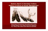 Eastern Band of Cherokee Indians - North Carolina … · Eastern Band of Cherokee Indians ... Cowee Mound, Hall Mountain Tract, ... White Pine Forest 1,652 Acres 12 CFI Plots 3% of
