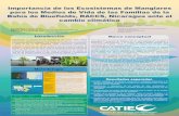 Importancia de los Ecosistemas de Manglares para los ... Neida... · Comisión Económica para América Latina y el Caribe (CEPAL). 2010. Nicaragua: Efectos del cambio climático